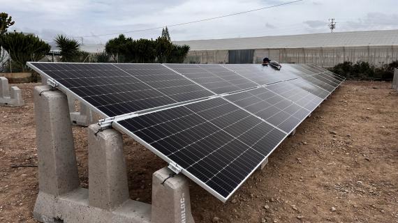 plascas solares, las viudas, viator, dependencia